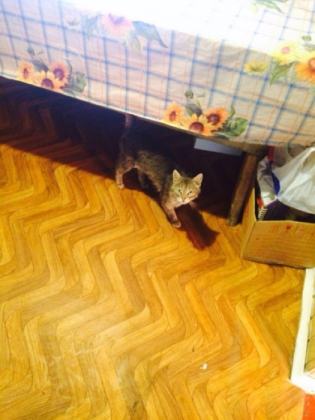 Жизнь