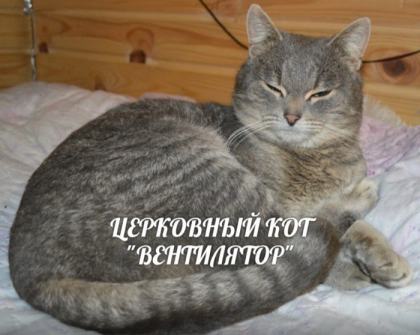 ...за строителей, благоукрасителей и жертвователей святаго Храма сего...